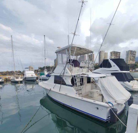 
								BERTRAM 36 full									