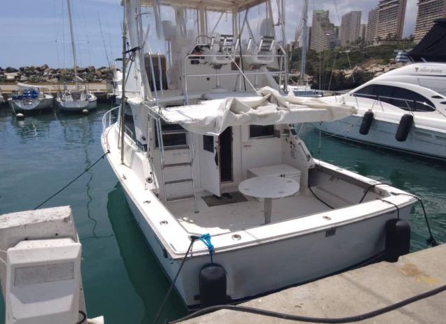 
								BERTRAM 36 full									