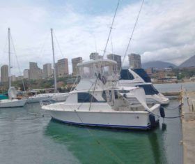 BERTRAM 36