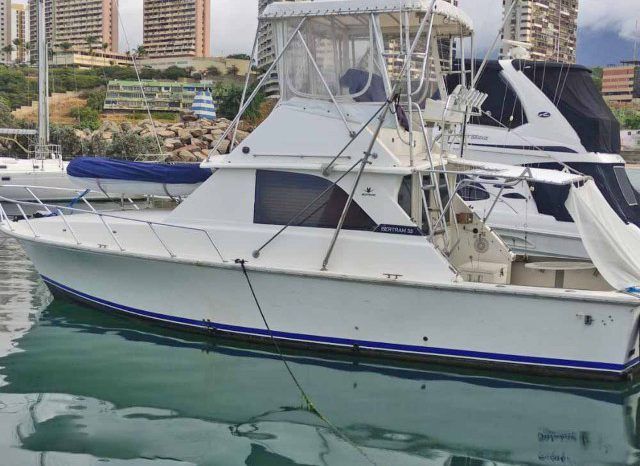 
								BERTRAM 36 full									