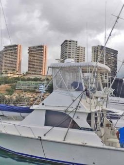 
										BERTRAM 36 full									