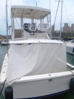 
										BERTRAM 36 full									