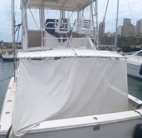 
								BERTRAM 36 full									