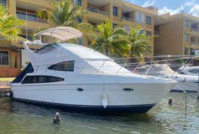 CARVER SPORT 38
