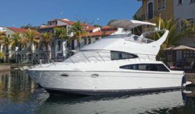 CARVER SPORT 38