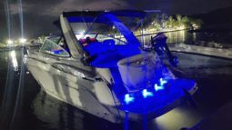 
										MONTEREY 290 29 full									