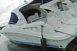 SEA RAY SUNDANCER 40 full
