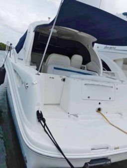 SEA RAY SUNDANCER 40 full