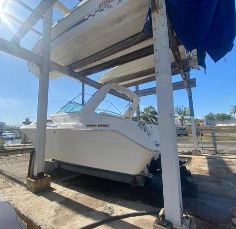 SEA RAY SUNDANCER 30 full