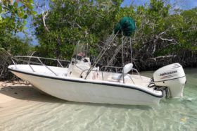 BOSTON WHALER 16