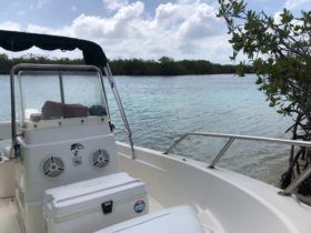 BOSTON WHALER 16