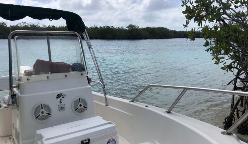 
								BOSTON WHALER 16 full									