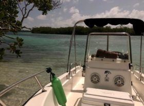 BOSTON WHALER 16