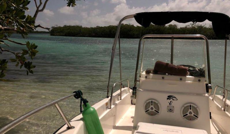 
								BOSTON WHALER 16 full									