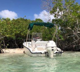 BOSTON WHALER 16