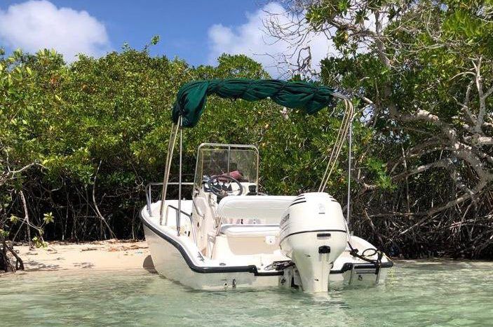 
								BOSTON WHALER 16 full									
