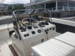 BERTRAM OPEN 25 full