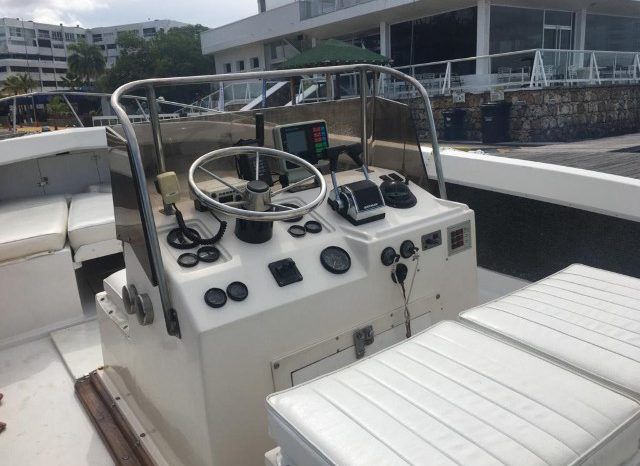 BERTRAM OPEN 25 full