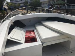 BERTRAM OPEN 25 full