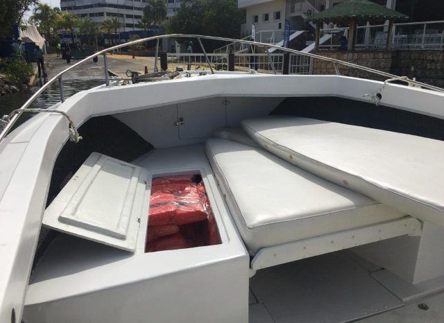 BERTRAM OPEN 25 full