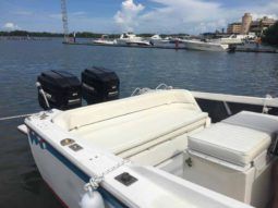 BERTRAM OPEN 25 full