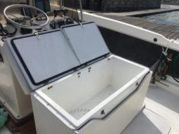 BERTRAM OPEN 25 full