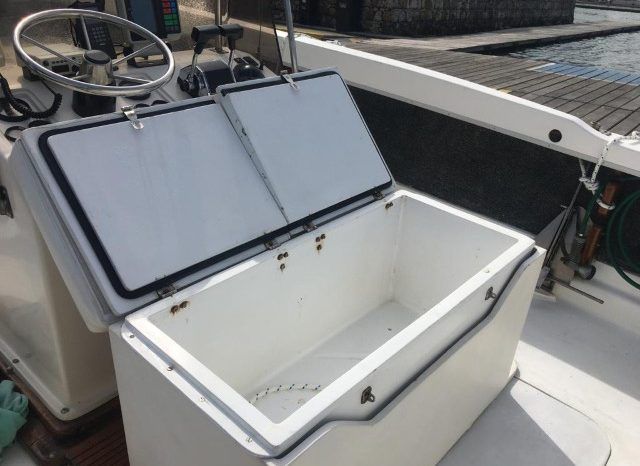 BERTRAM OPEN 25 full