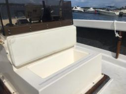 BERTRAM OPEN 25 full