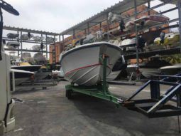 BERTRAM OPEN 25 full