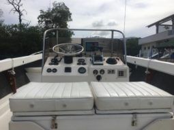 BERTRAM OPEN 25 full