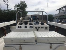 BERTRAM OPEN 25