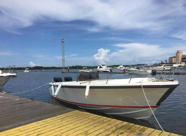 BERTRAM OPEN 25 full