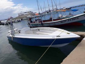 INTERMARINE OPEN Z24