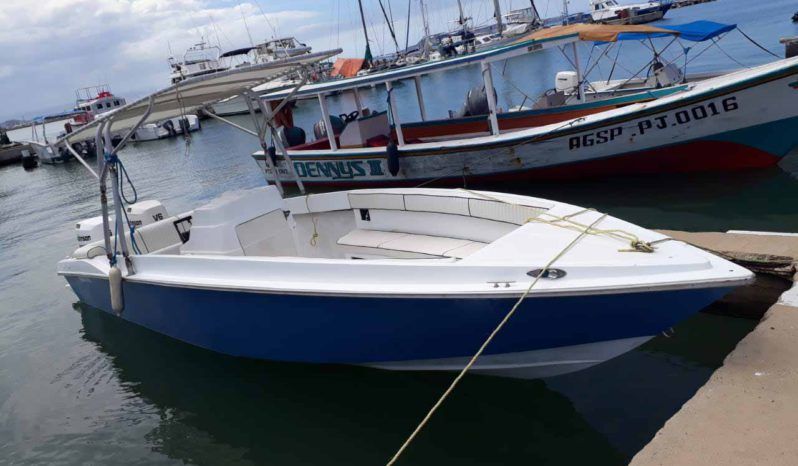 
								INTERMARINE OPEN Z24 full									