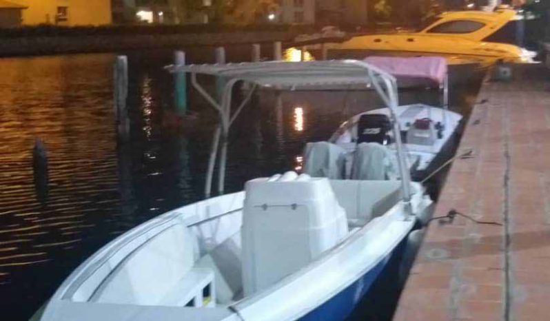 
								INTERMARINE OPEN Z24 full									