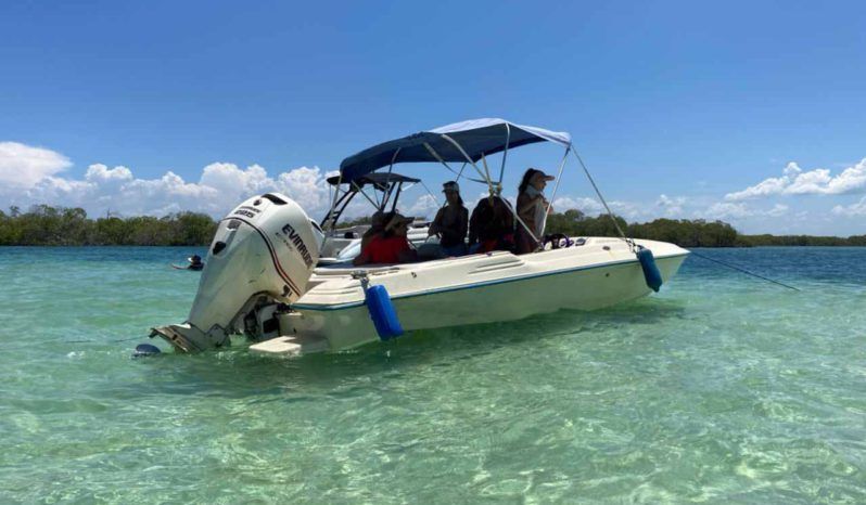 
								PROMARINE 660 21 full									