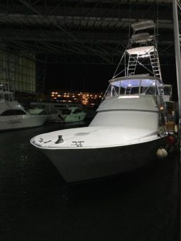 
										VIKING 50 full									