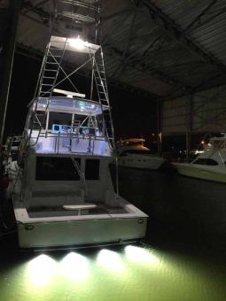 
										VIKING 50 full									