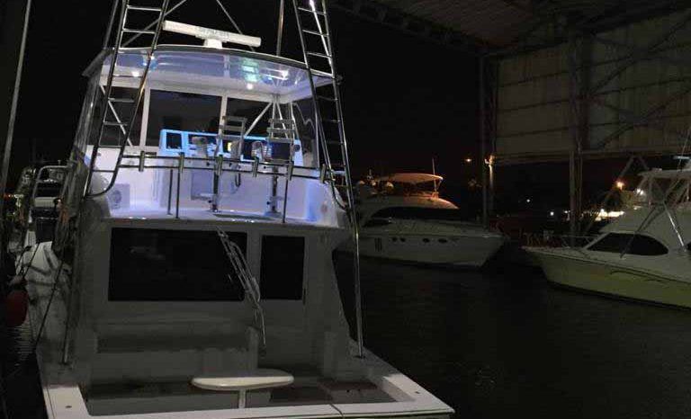 
								VIKING 50 full									