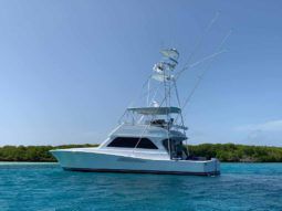 
										VIKING 50 full									