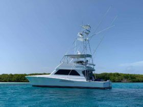 VIKING 50