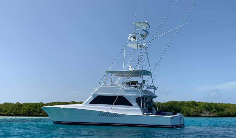 
								VIKING 50 full									