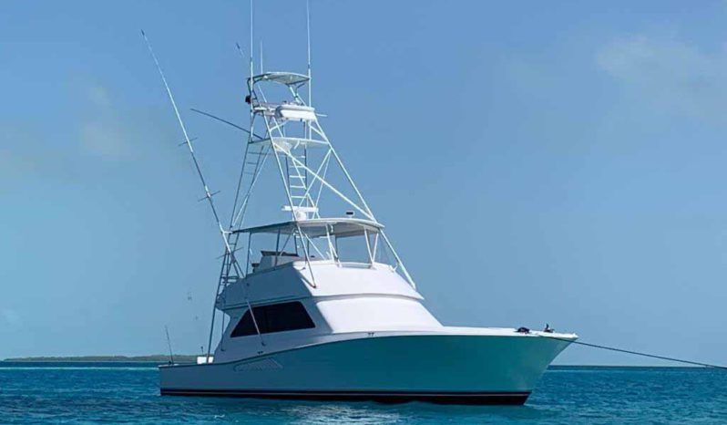 
								VIKING 50 full									