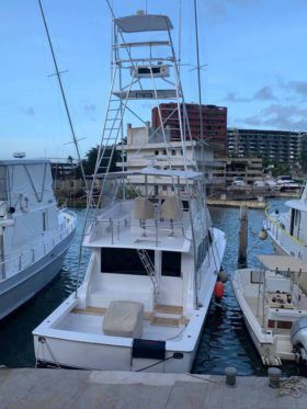 VIKING 50