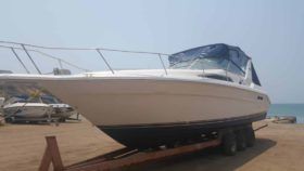 SEA RAY SUNDANCER 33