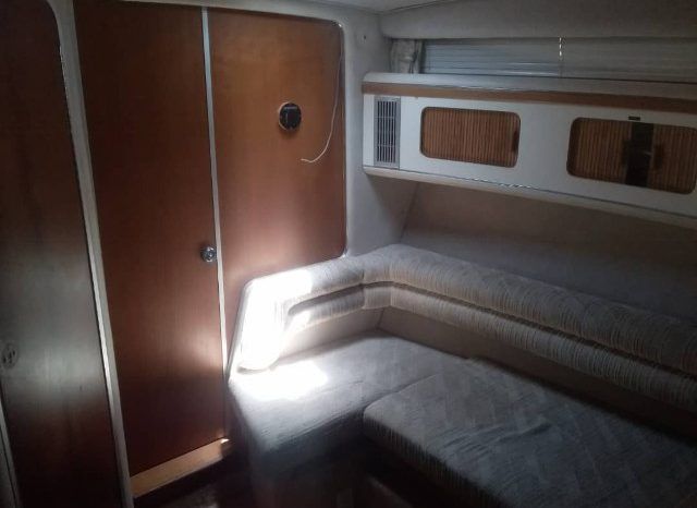 
								SEA RAY SUNDANCER 33 full									