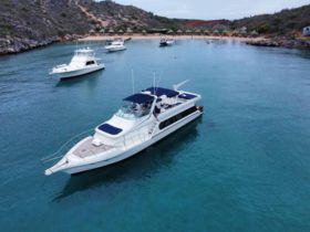 BLUEWATER SPECIAL EDITION 62