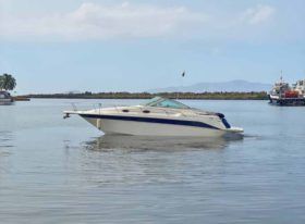 SEA RAY SUNDANCER 270