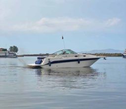 SEA RAY SUNDANCER 270 full
