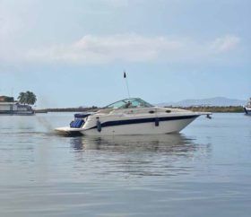 SEA RAY SUNDANCER 270